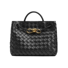 Сумка Andiamo small Bottega Veneta
